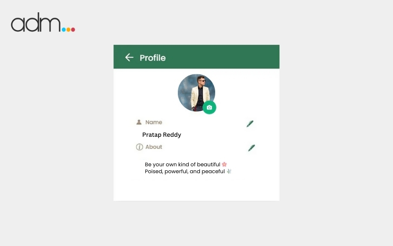 Aesthetic & Classy WhatsApp Bios