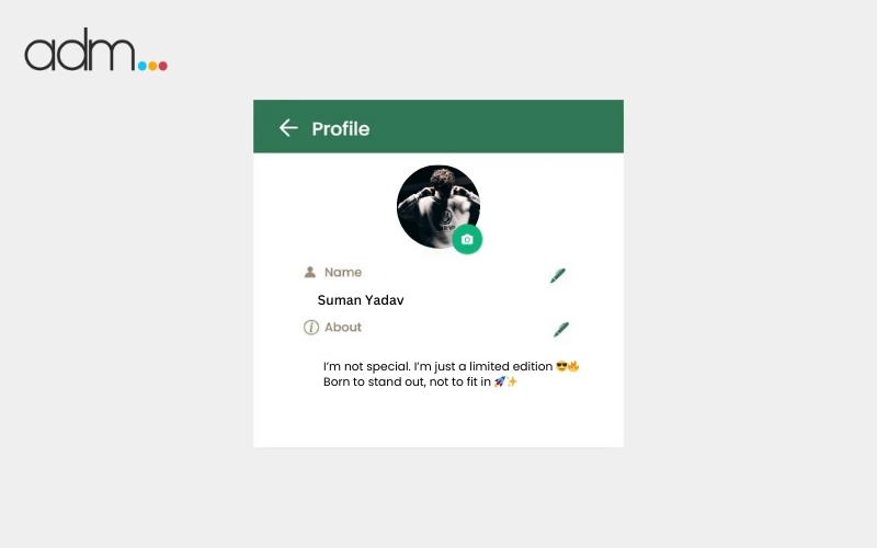 Attitude & Savage WhatsApp Bios