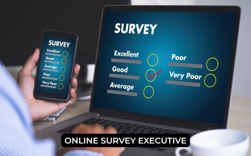 Online Survey Executive