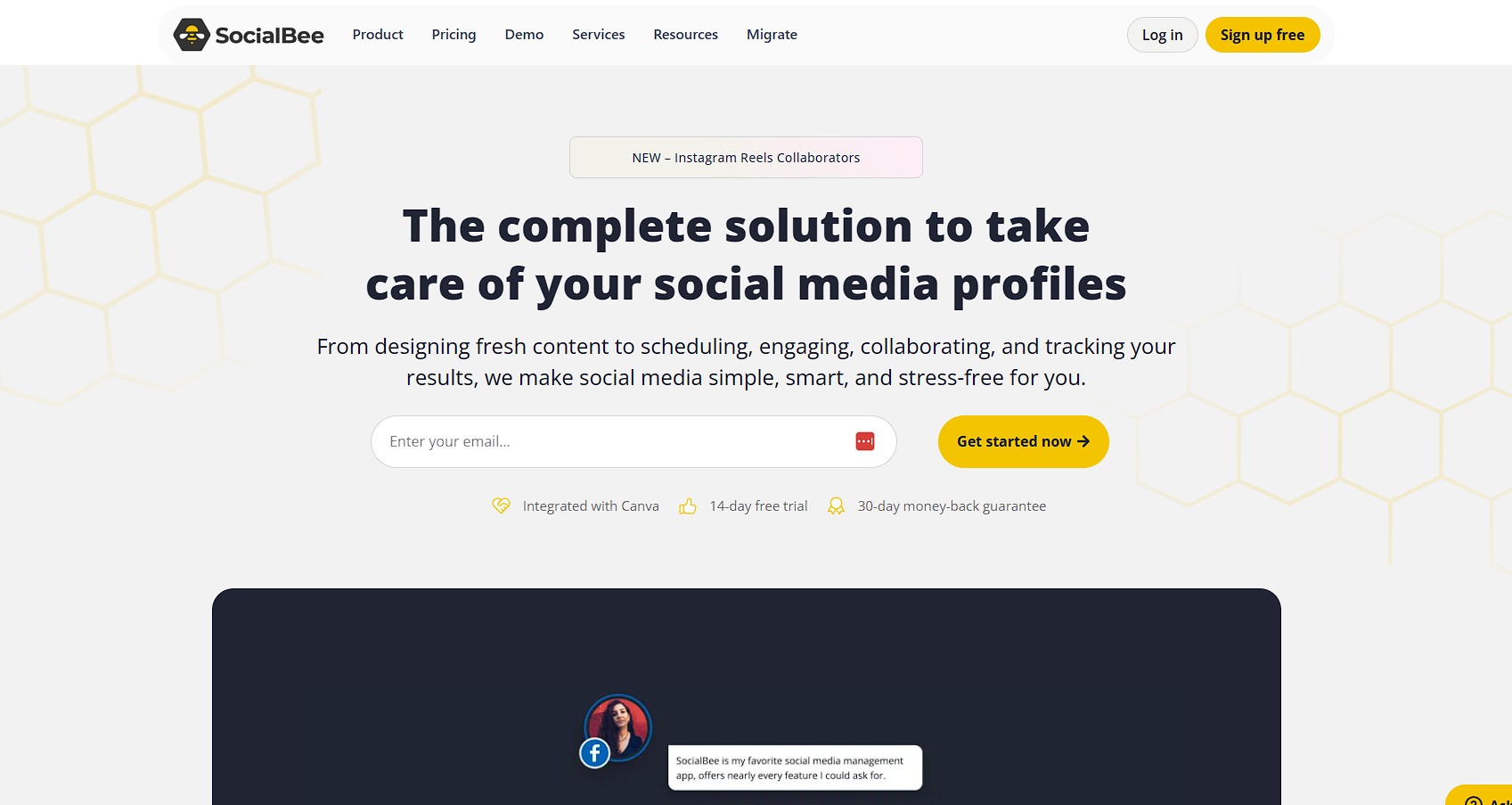 SocialBee