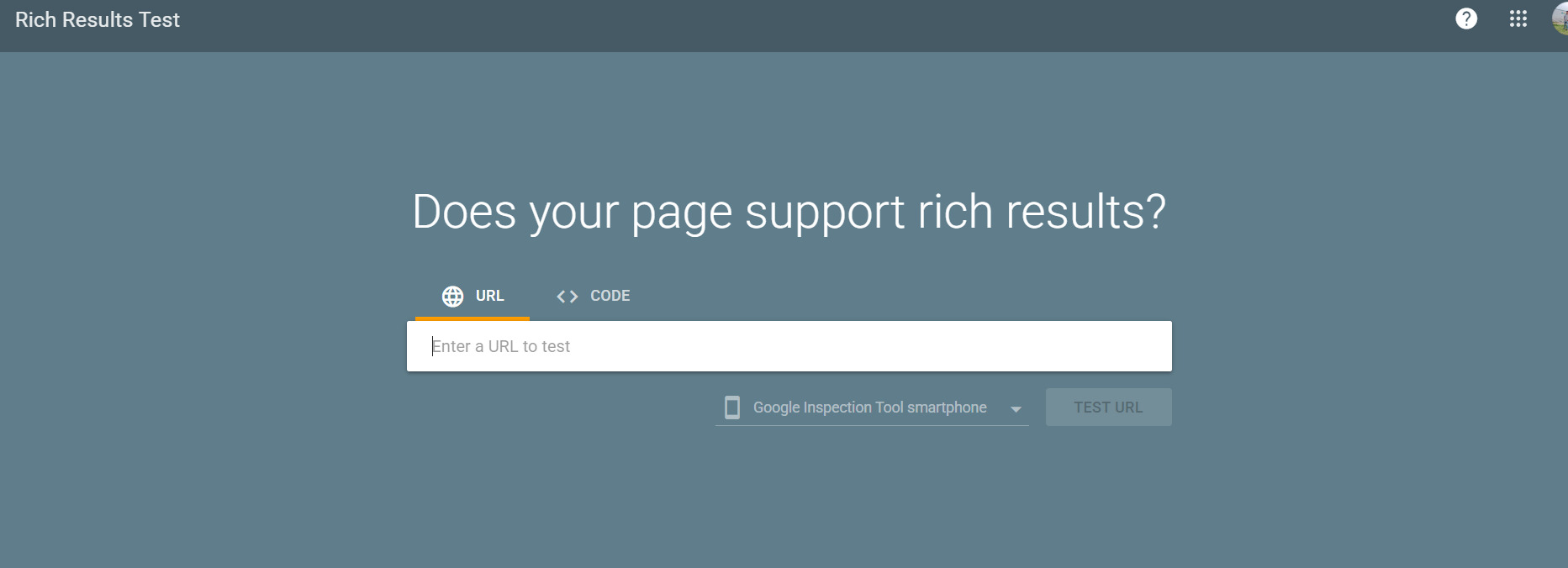 Rich result test